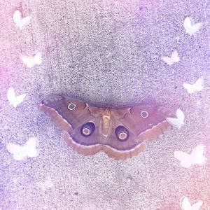 Meet your Posher, Sisi